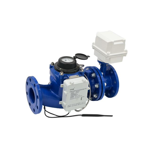 大口径阀控水表